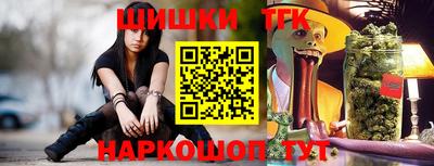 крисы Можга