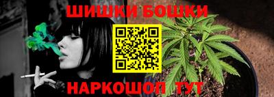 крисы Можга
