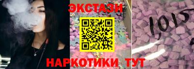 крисы Можга