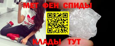 крисы Можга