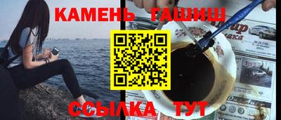 крисы Можга