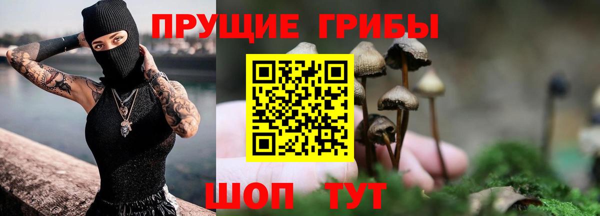Галлюциногенные грибы прущие грибы Волжский